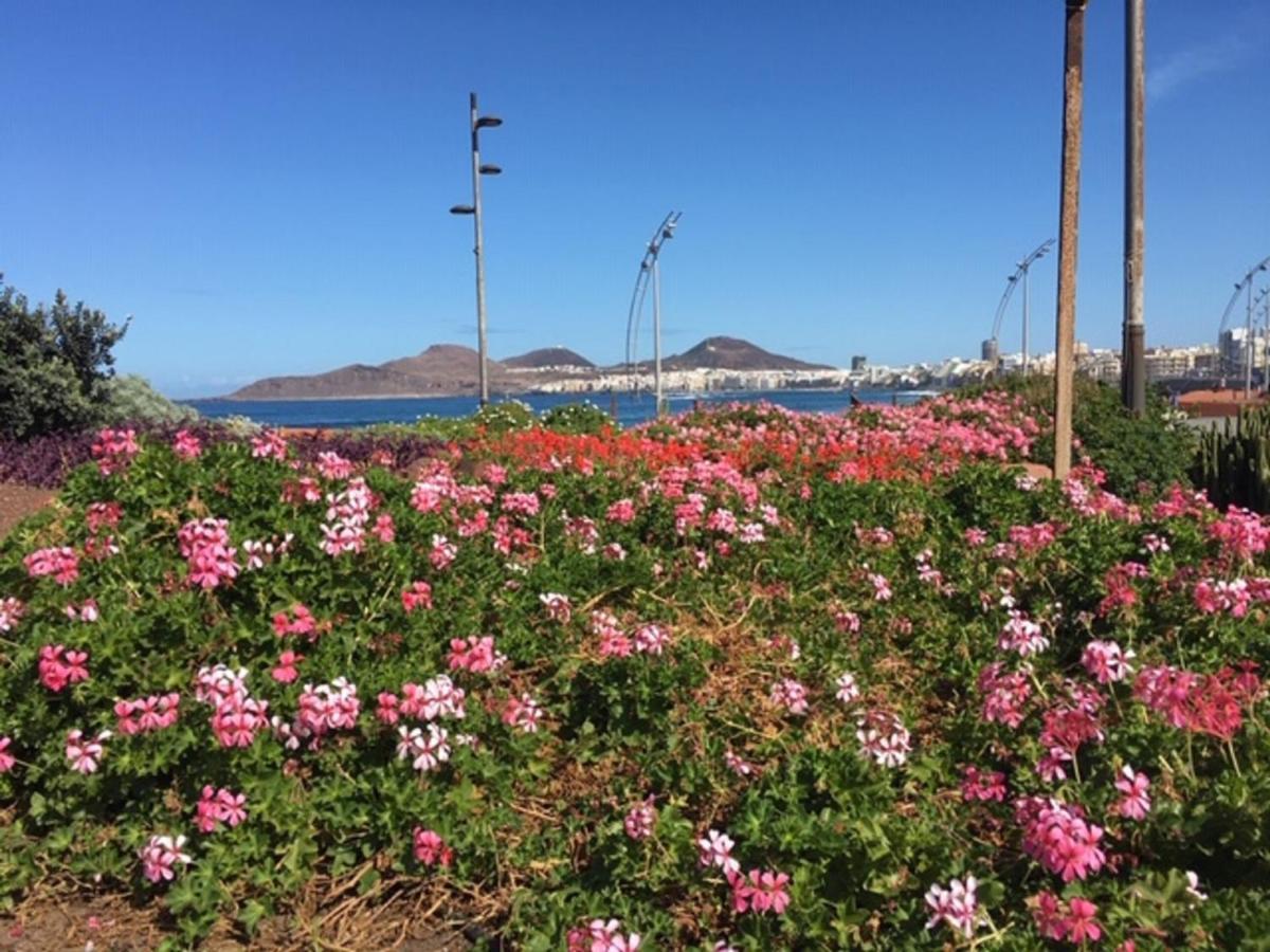 El Mirador De Ana 4A Apartment Las Palmas de Gran Canaria Ngoại thất bức ảnh